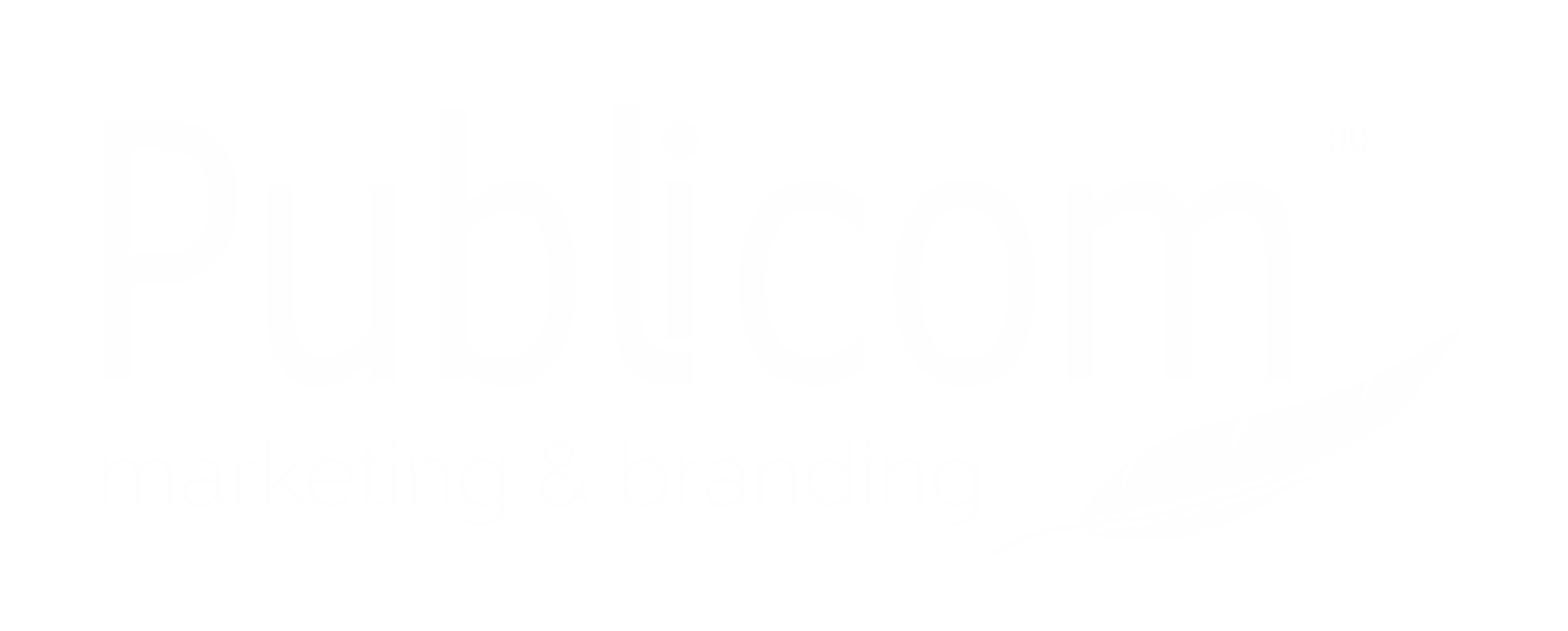 Publicom Branding